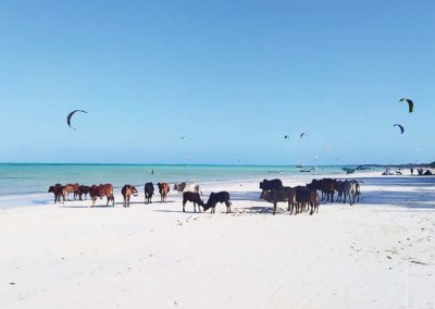 Bella Vista Hotel Kizimkazi Zanzibar